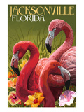 Jacksonville  Florida - Flamingos