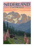 Nederland  Colorado - Bears and Spring Flowers