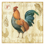 Joli Rooster II