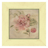 Dusty Pink Rose