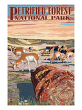Desert and Antelope - Petrified Forest National Park