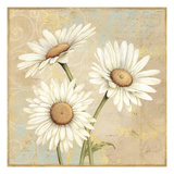 Beautiful Daisies I