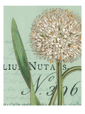 Botanique Bleu II