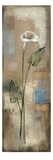 Spring Grace III