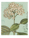 Botanique Bleu IV