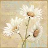 Beautiful Daisies II