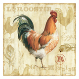 Joli Rooster I