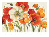 Poppies Melody I