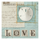 Beach Journal I