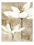 Pencil Floral I