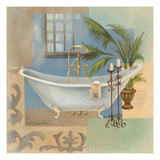 Coastal Bathtub II