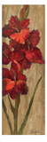 Vivid Red Gladiola on Gold