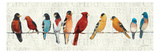 The Usual Suspects