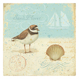 Natural Seashore I