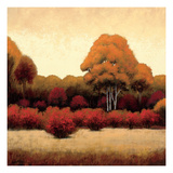 Autumn Forest I