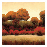 Autumn Forest II