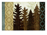 North Country