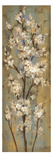 Almond Branch II