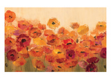 Summer Poppies