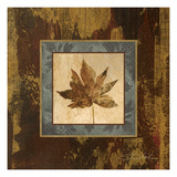 Autumn Leaf Square IV