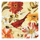 Rainbow Garden Spice III