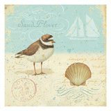 Natural Seashore I