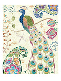 Peacock Fantasy III