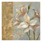 Amaryllis on Soft Blue