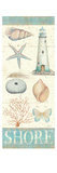 Pastel Coast Panel II