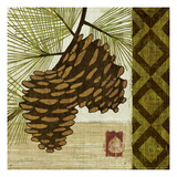 Summer Pine II
