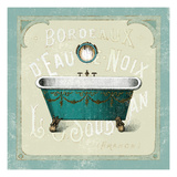 Parisian Bath IV