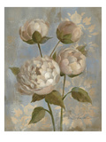 Peony on Soft Blue