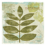 Woodland Thoughts IV