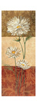 Cosmos and Squares