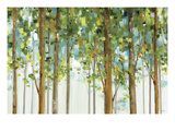 Forest Study I Crop