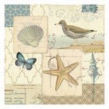 Coastal Collage IV