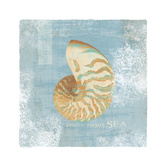 Listen to the Sea