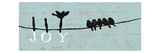 Birds on a Wire