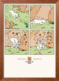 Le Temple de Soleil: Snowy and the Lizard