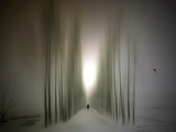 The Avenue