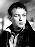 On the Waterfront  Marlon Brando  1954