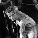 Cool Hand Luke  Paul Newman   1967
