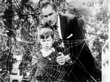 The Fly  Charles Herbert  Vincent Price  1958  Spider Web