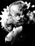 Beauty and the Beast  (AKA 'Belle Et La Bête  La')  Josette Day  Jean Marais  1946