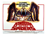 Kingdom of the Spiders  1977