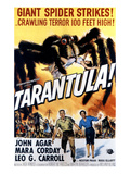 Tarantula  John Agar  Mara Corday  1955