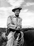 Shane  Alan Ladd  1953