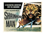 The Incredible Shrinking Man  1957