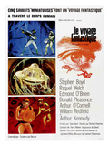 Fantastic Voyage (AKA Le Voyage Fantastique)  1966