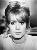 Tales of Paris  Catherine Deneuve  1962